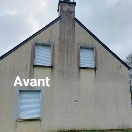 demoussage de toiture fougeres