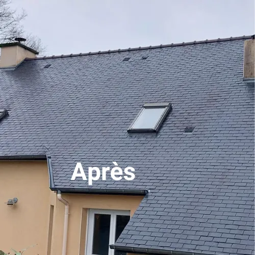 demoussage de toiture fougeres