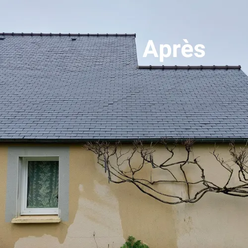 demoussage de toiture mayenne