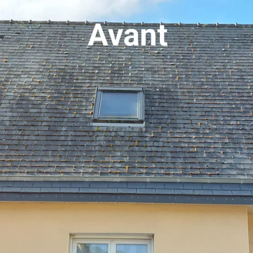 traitement de toiture rennes